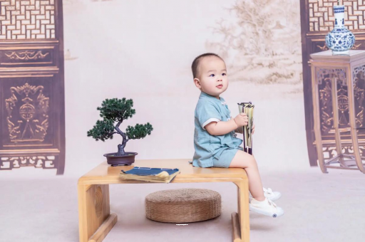 东海可爱的企鹅宝宝